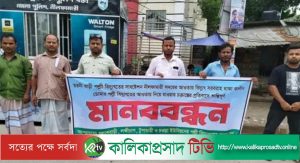 পল্লি বিদ্যুৎ