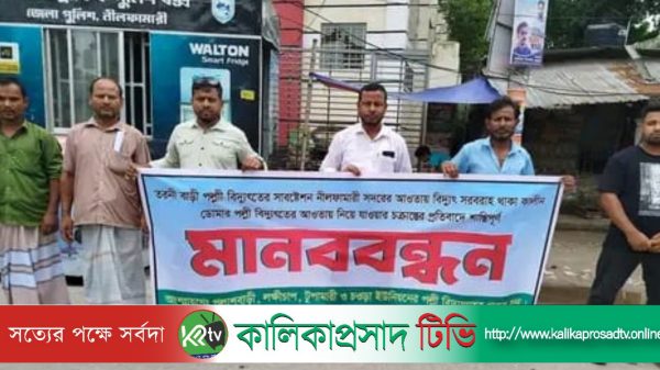 পল্লি বিদ্যুৎ