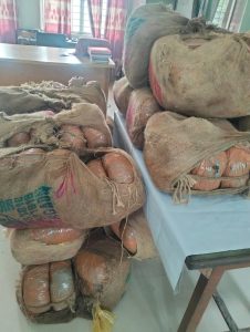 বিজয়নগরে পুলিশের অভিযানে ১৭০ কেজি গাঁজাসহ এক যুবক গ্রেপ্তার